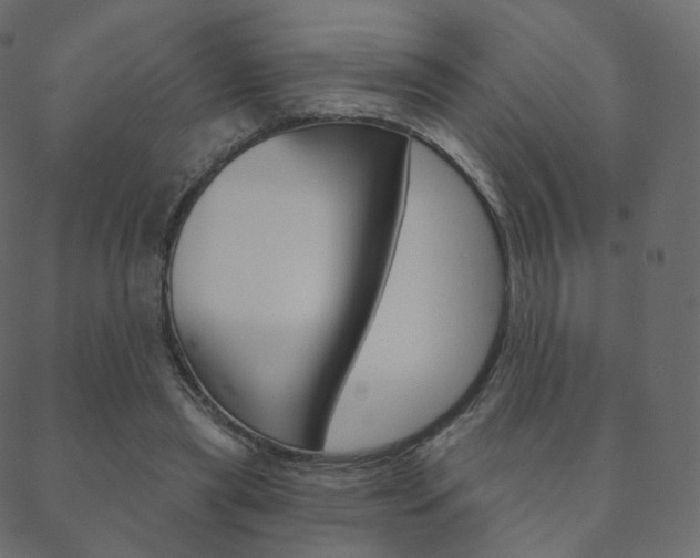 X0000088670445200705311003