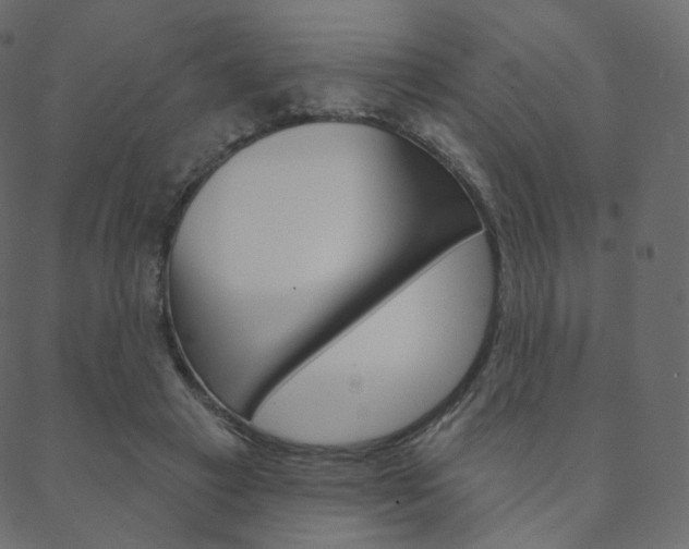 X0000088670449200705311003
