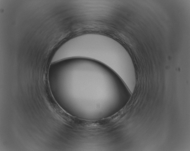 X0000088670456200705311003