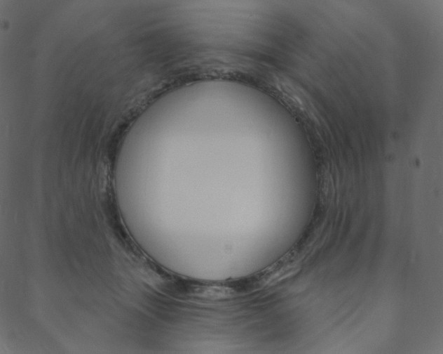 X0000088670463200705311003