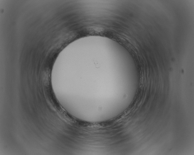 X0000088670468200705311003