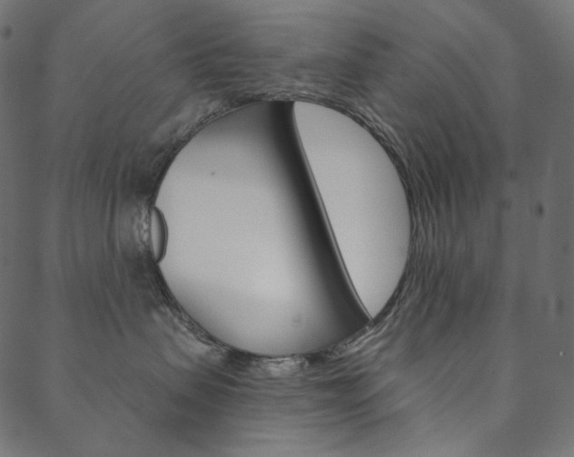 X0000088670479200705311003