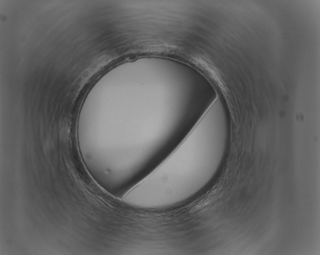 X0000088670483200705311002