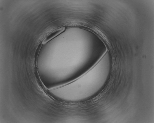 X0000088670485200705311002