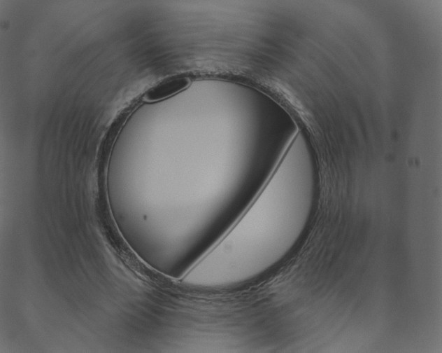 X0000088670488200705311002
