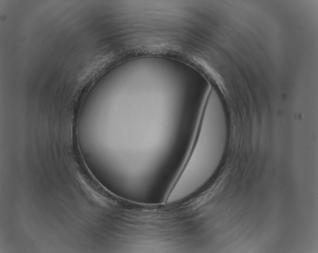 X0000088670493200705311002