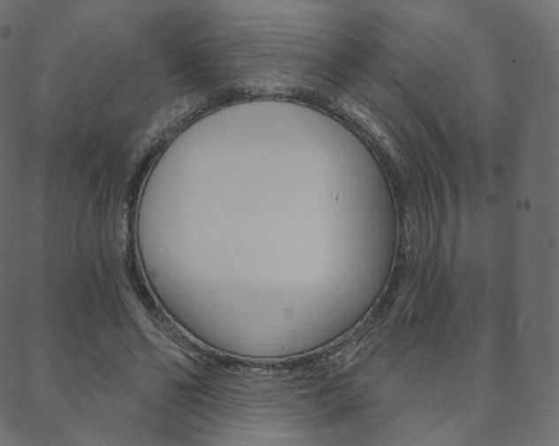 X0000088670494200705311002