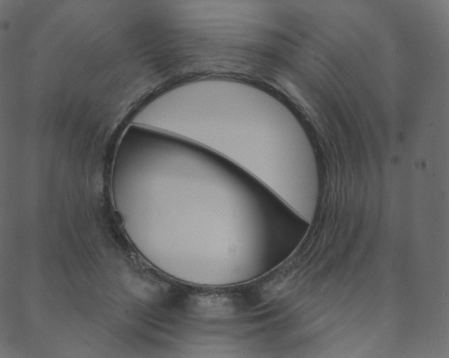 X0000088670500200705311002