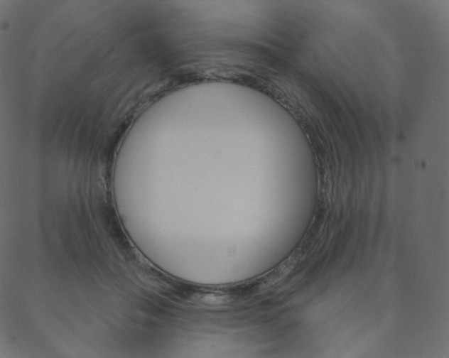 X0000088670506200705311002