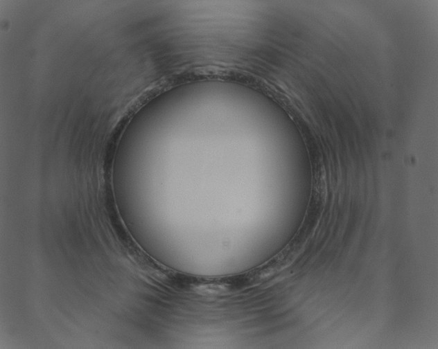 X0000088670508200705311002