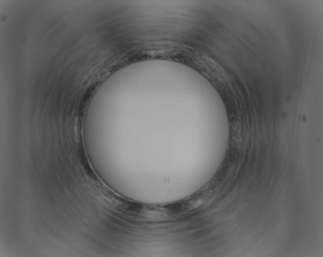 X0000088670510200705311002