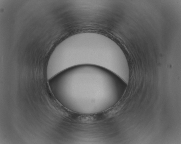 X0000088670512200705311002