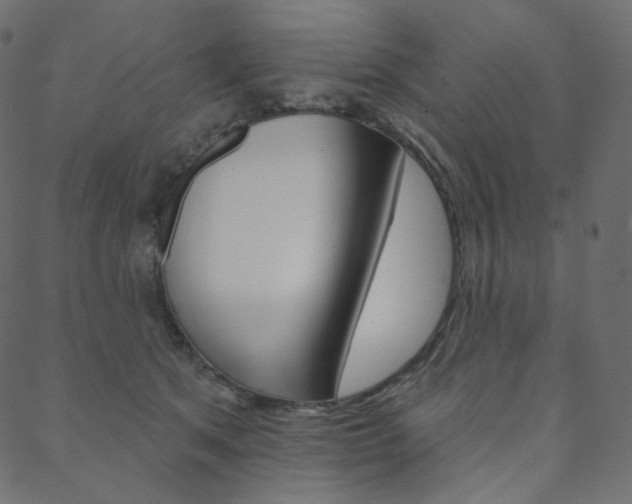 X0000088670513200705311002