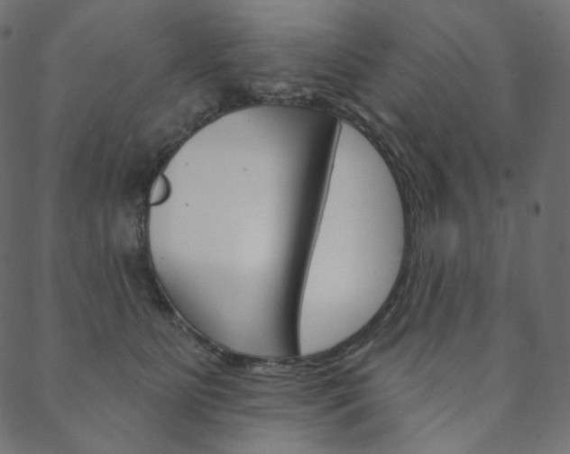 X0000088670515200705311002
