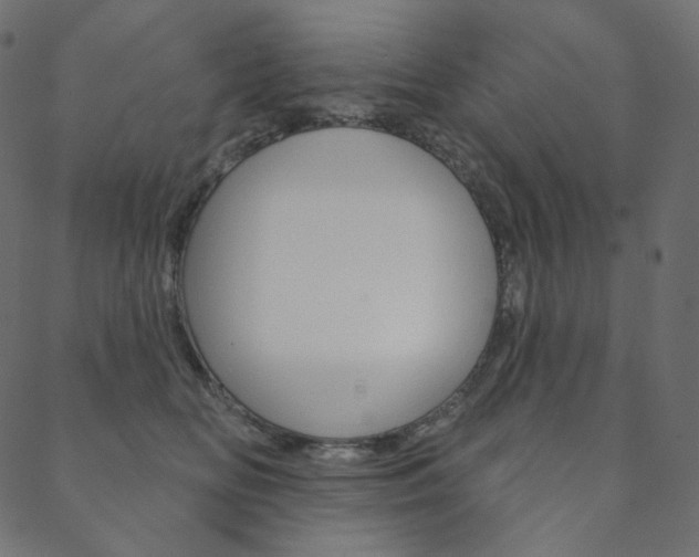 X0000088670518200705311002