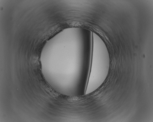 X0000088670521200705311002