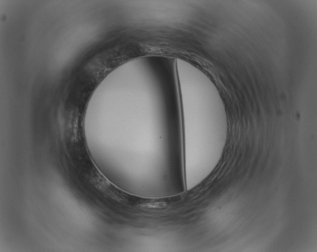 X0000088670525200705311002