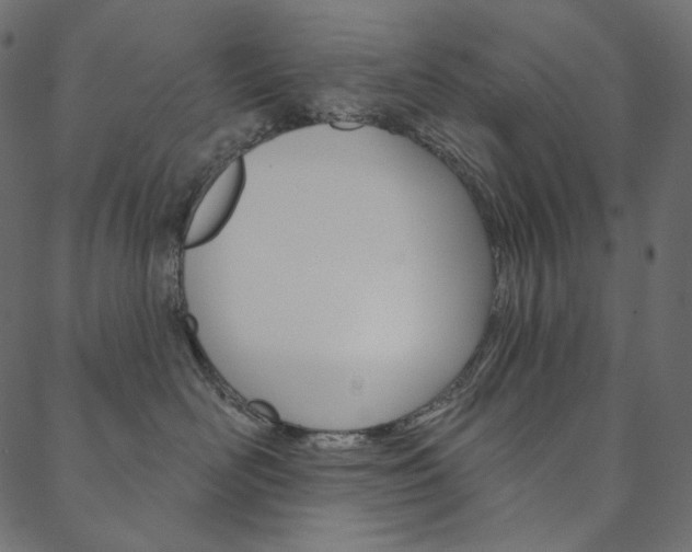 X0000088670526200705311002