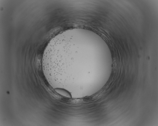 X0000088670527200705311002