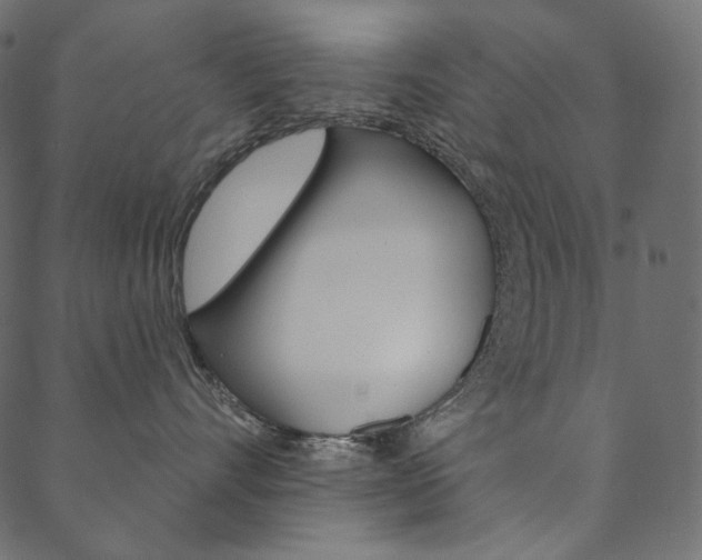 X0000088670528200705311002