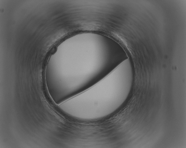 X0000088670535200705311001