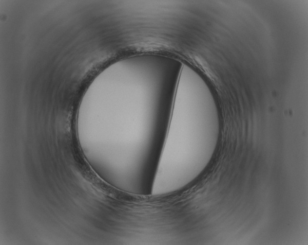 X0000088670543200705311001