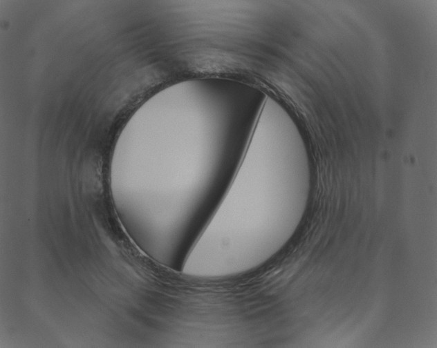 X0000088670547200705311001