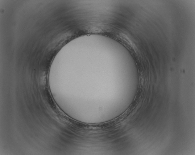 X0000088670549200705311001