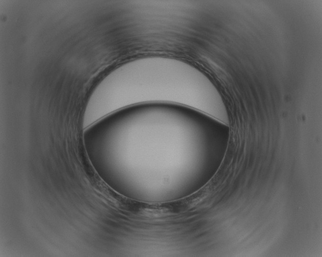 X0000088670556200705311001
