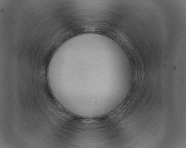 X0000088670557200705311001
