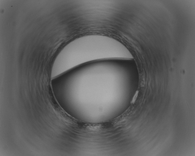 X0000088670560200705311001