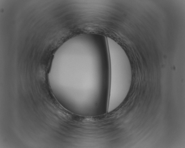 X0000088670562200705311001