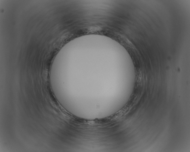 X0000088670565200705311001