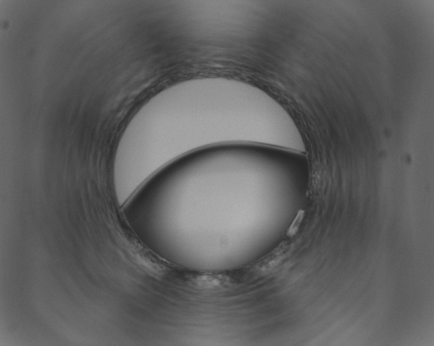 X0000088670566200705311002