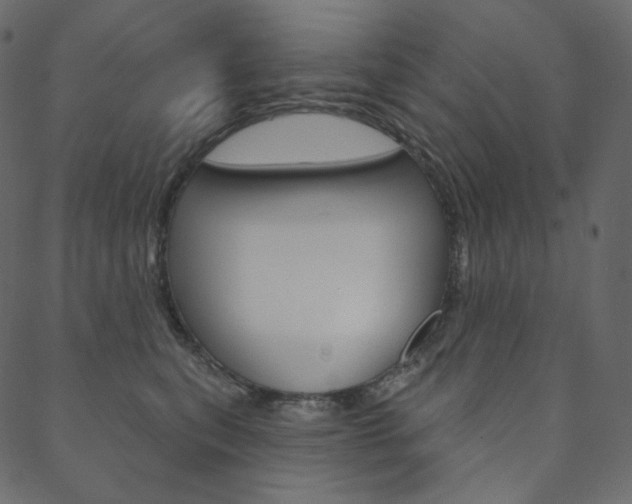 X0000088670567200705311002