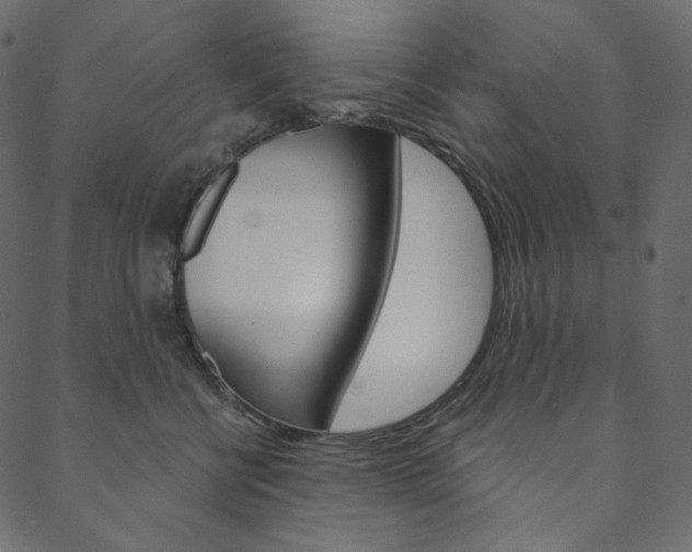 X0000088670570200705311002