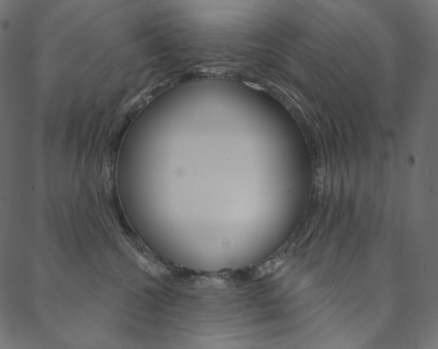 X0000088670572200705311002