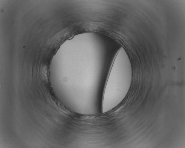 X0000088670575200705311002