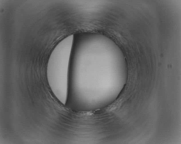 X0000088670576200705311002