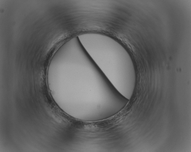 X0000088670591200705311001