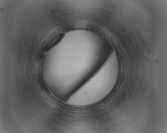 X0000088670601200705311001