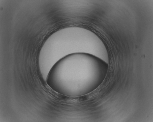 X0000088670604200705311000