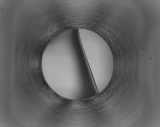 X0000088670608200705311000