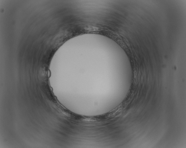 X0000088670614200705311000
