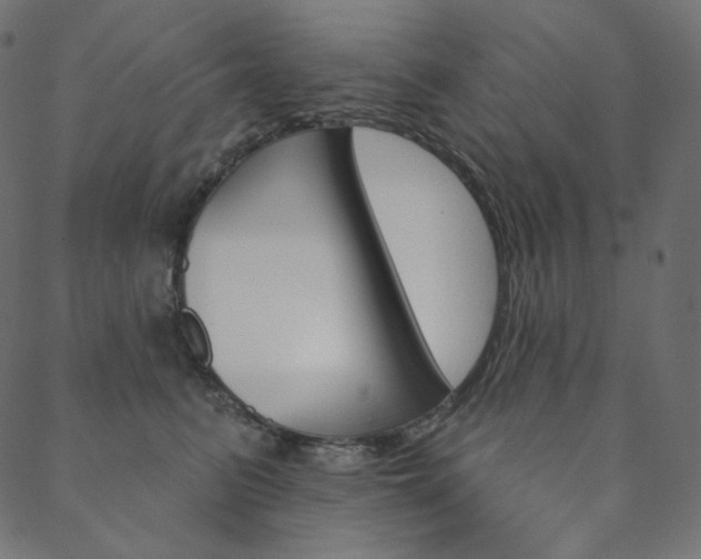 X0000088670615200705311000