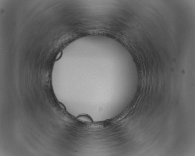 X0000088670619200705311000