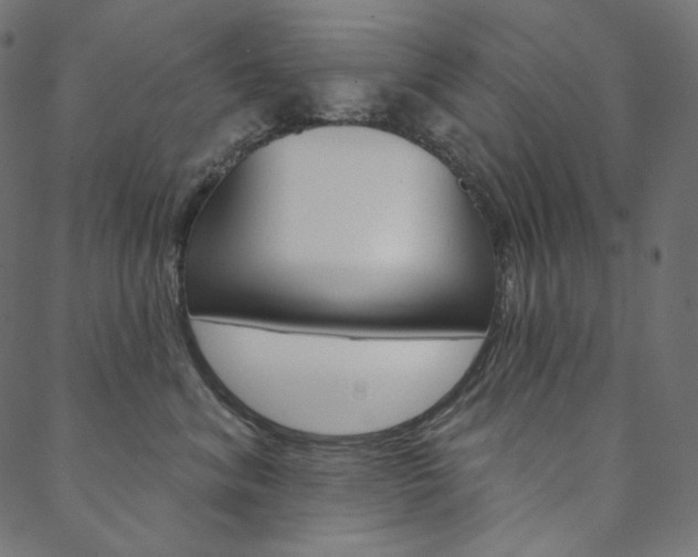 X0000088670620200705311000