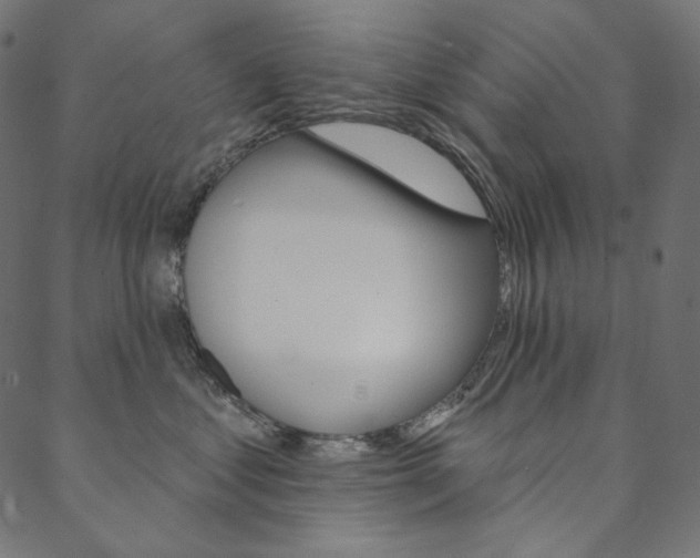 X0000088670621200705311000
