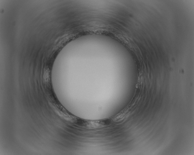 X0000088670623200705311000