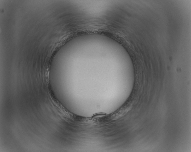 X0000088670624200705311000